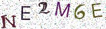 NE2M6E