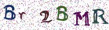 Br2BMR