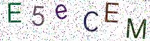 E5eCEM