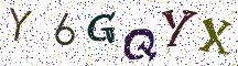 Y6GQYX