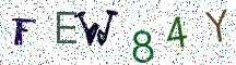FEW84Y