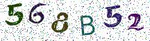 568B52