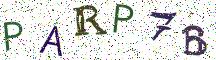 PARP7B