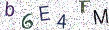 b6E4FM