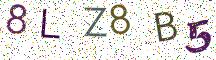 8LZ8B5