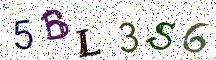 5BL3S6