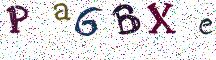Pa6BXe