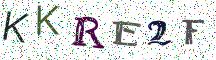 KKRE2F