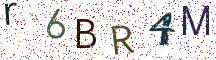 r6BR4M