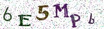 6E5MPb