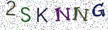 2SKNNG