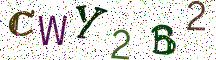 CWY2B2
