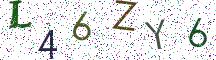 L46ZY6