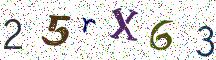 25rX63