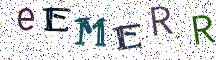 eEMERR
