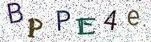BPPE4e