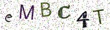 eMBC4T
