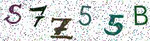 S7Z55B