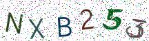 NXB253