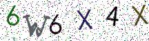 6W6X4X