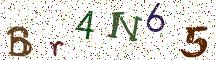Br4N65