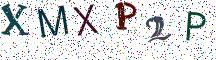 XMXP2P