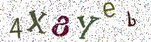 4X8Yeb