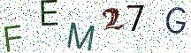 FEM27G