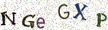 NGeGXP