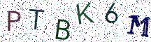PTBK6M
