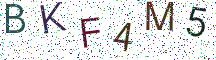 BKF4M5