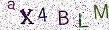 aX4BLM