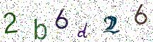 2b6d26