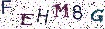 FEHM8G