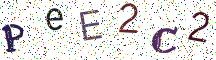 PeE2C2