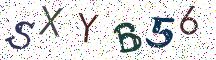 SXYB56