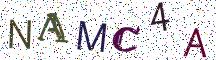 NAMC4A