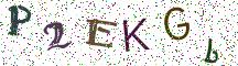P2EKGb