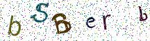 bSBerb