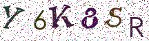 Y6K8SR