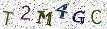 T2M4GC