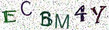 ECBM4Y