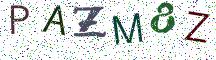 PAZM8Z