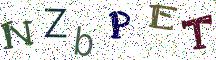 NZbPET