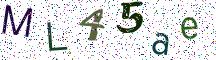 ML45ae