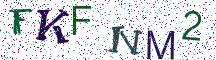 FKFNM2