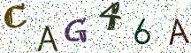CAG46A