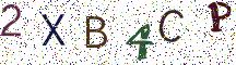 2XB4CP
