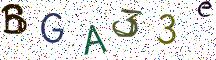 BGA33e