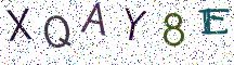 XQAY8E